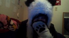 im secretly a panda